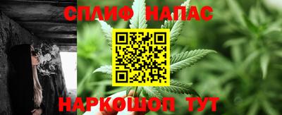 PSILOCYBIN Кулебаки