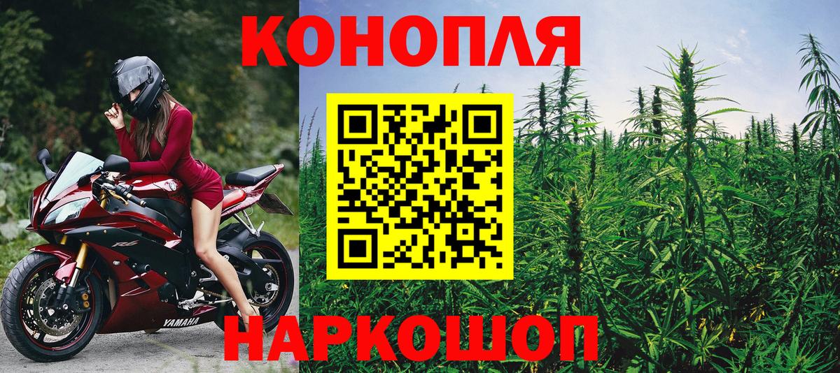 Каннабис семена  Бошки Шишки гибрид  Каннабис семена  Бошки Шишки индика  Вход с VPN  Калуга 